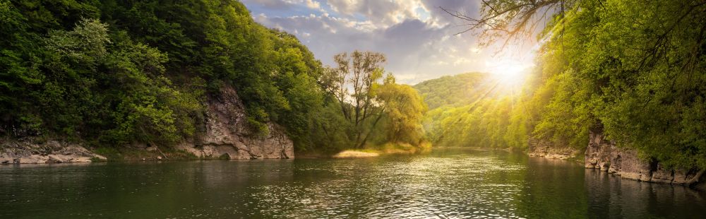 mountain river with stones on the shore in the forest near the mountain slope in sunset light